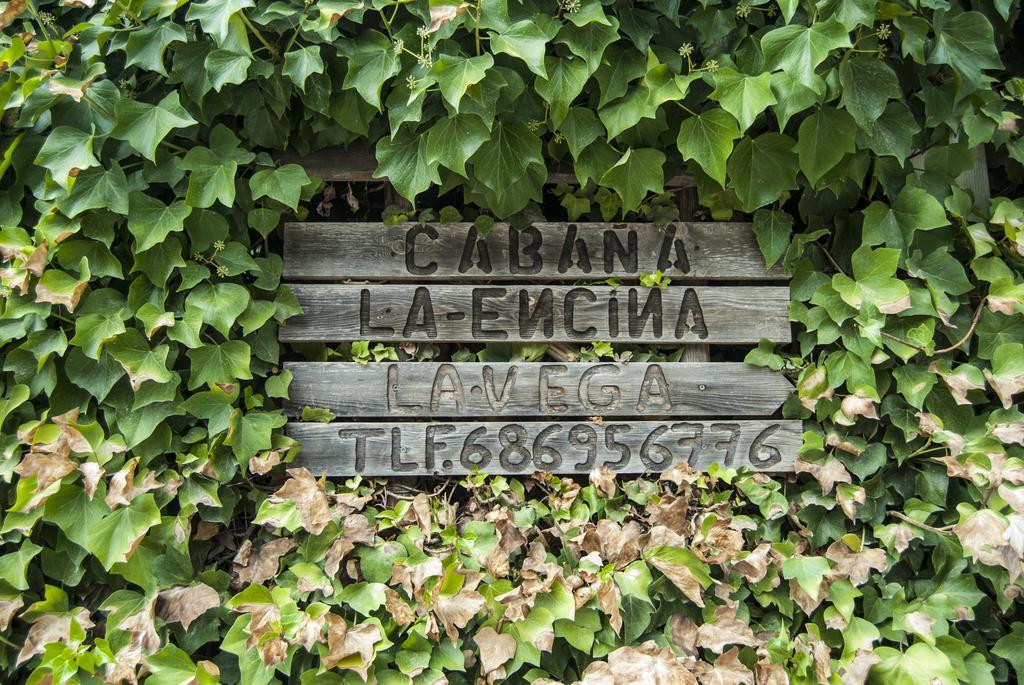 Cabana De Madera La Encina Burunchel Zewnętrze zdjęcie
